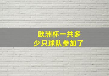 欧洲杯一共多少只球队参加了