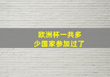 欧洲杯一共多少国家参加过了