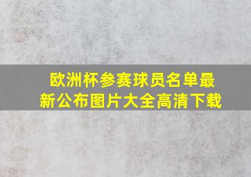 欧洲杯参赛球员名单最新公布图片大全高清下载