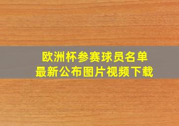 欧洲杯参赛球员名单最新公布图片视频下载