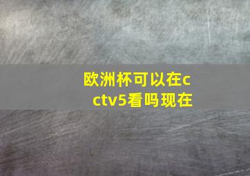 欧洲杯可以在cctv5看吗现在