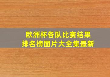 欧洲杯各队比赛结果排名榜图片大全集最新