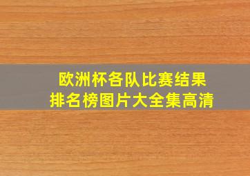 欧洲杯各队比赛结果排名榜图片大全集高清