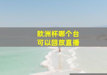 欧洲杯哪个台可以回放直播