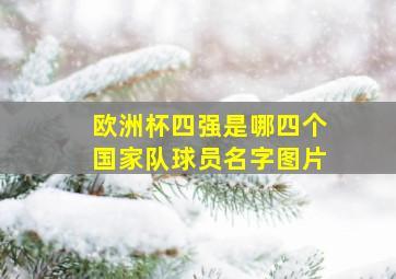 欧洲杯四强是哪四个国家队球员名字图片