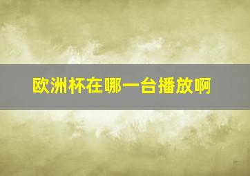 欧洲杯在哪一台播放啊