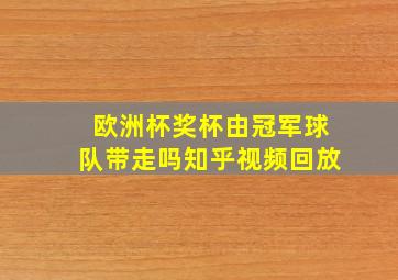 欧洲杯奖杯由冠军球队带走吗知乎视频回放