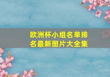 欧洲杯小组名单排名最新图片大全集