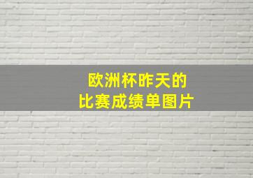 欧洲杯昨天的比赛成绩单图片