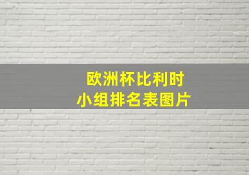 欧洲杯比利时小组排名表图片