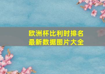 欧洲杯比利时排名最新数据图片大全