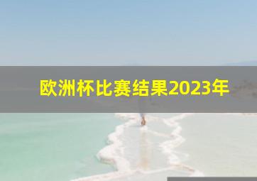 欧洲杯比赛结果2023年