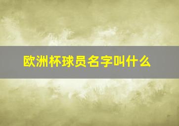 欧洲杯球员名字叫什么