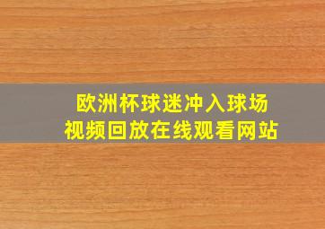 欧洲杯球迷冲入球场视频回放在线观看网站