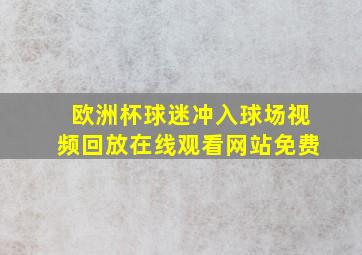 欧洲杯球迷冲入球场视频回放在线观看网站免费