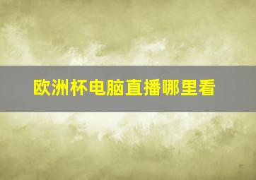 欧洲杯电脑直播哪里看