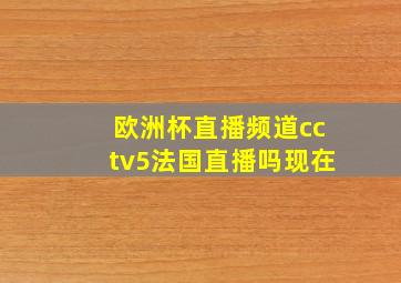 欧洲杯直播频道cctv5法国直播吗现在