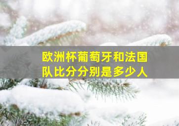 欧洲杯葡萄牙和法国队比分分别是多少人