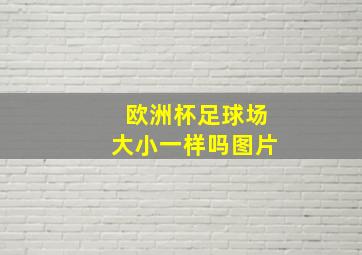 欧洲杯足球场大小一样吗图片