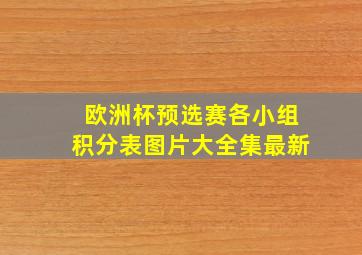 欧洲杯预选赛各小组积分表图片大全集最新