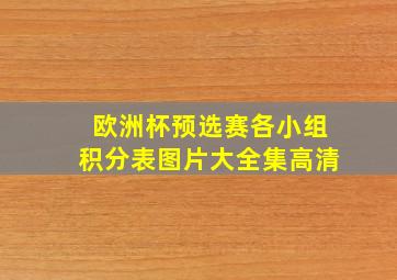 欧洲杯预选赛各小组积分表图片大全集高清