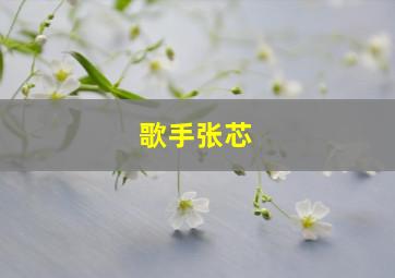 歌手张芯