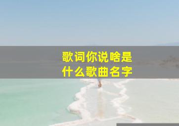 歌词你说啥是什么歌曲名字