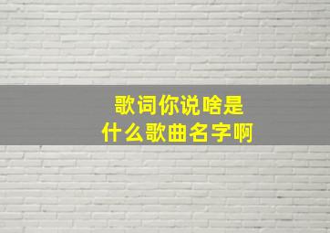 歌词你说啥是什么歌曲名字啊