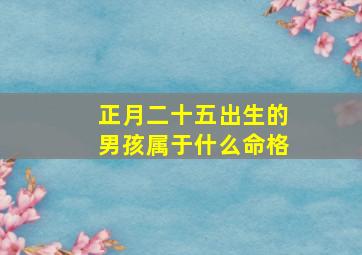 正月二十五出生的男孩属于什么命格