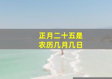 正月二十五是农历几月几日