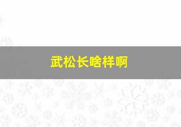 武松长啥样啊