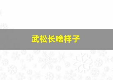 武松长啥样子