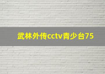 武林外传cctv青少台75