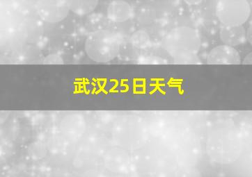 武汉25日天气