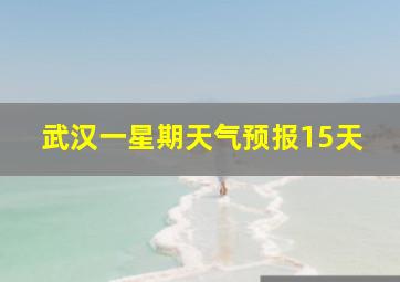 武汉一星期天气预报15天