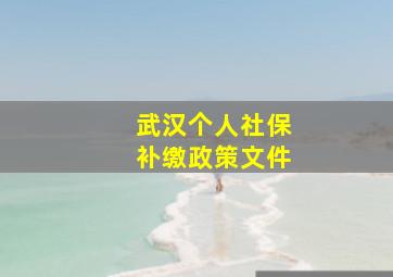 武汉个人社保补缴政策文件