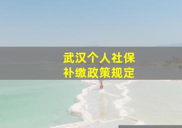 武汉个人社保补缴政策规定