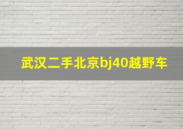 武汉二手北京bj40越野车