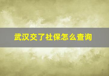 武汉交了社保怎么查询