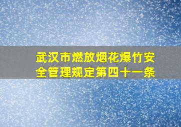 武汉市燃放烟花爆竹安全管理规定第四十一条