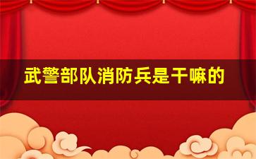 武警部队消防兵是干嘛的