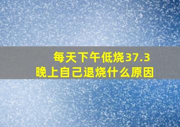 每天下午低烧37.3晚上自己退烧什么原因