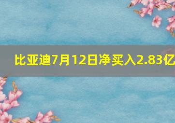 比亚迪7月12日净买入2.83亿