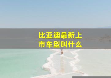 比亚迪最新上市车型叫什么