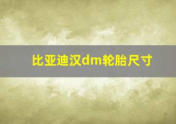 比亚迪汉dm轮胎尺寸