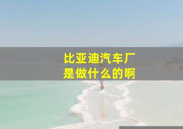 比亚迪汽车厂是做什么的啊