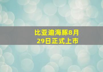 比亚迪海豚8月29日正式上市