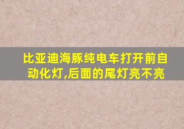 比亚迪海豚纯电车打开前自动化灯,后面的尾灯亮不亮