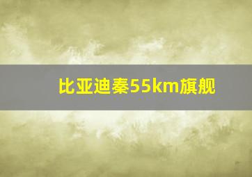 比亚迪秦55km旗舰