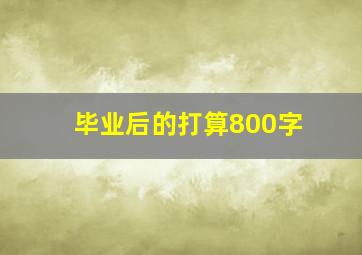 毕业后的打算800字